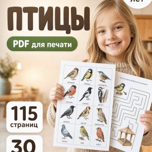 Большой проект «Птицы»